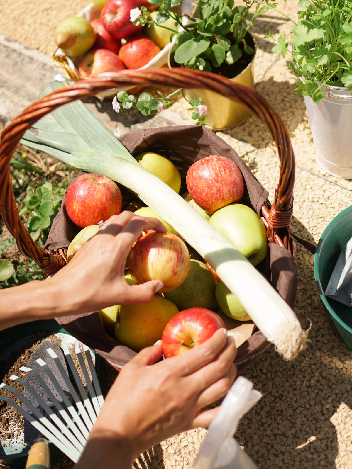 Spring Into Freshness Spring Into Freshness: Your Seasonal Produce Guide – thepeachiespoon